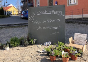 SWT Umweltpreis 2020